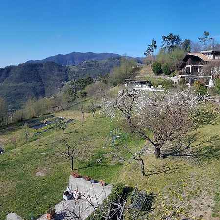 Teresa Campi Apartments Lake View By Gardadomusmea Tremosine Εξωτερικό φωτογραφία