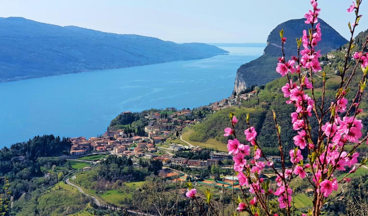 Teresa Campi Apartments Lake View By Gardadomusmea Tremosine Εξωτερικό φωτογραφία